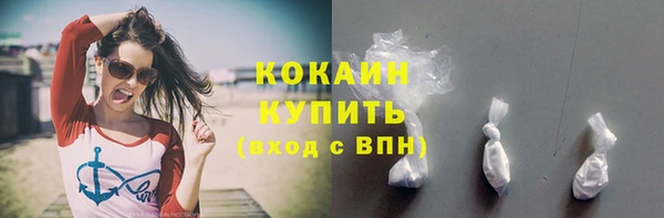дурь Бронницы