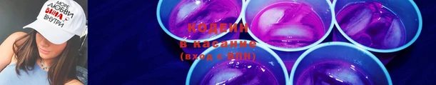 таблы Бородино