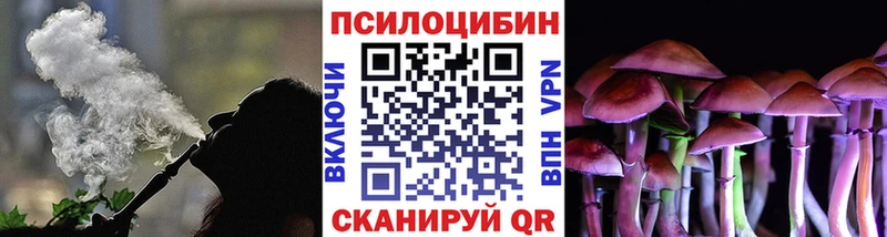 купить наркоту  Волгореченск  Галлюциногенные грибы GOLDEN TEACHER 