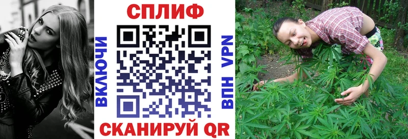 hydra зеркало Волгореченск Канабис семена купить наркотики сайты